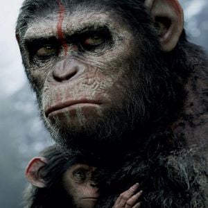 Foto Planeta dos Macacos: O Confronto