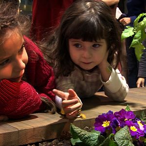 Foto Vivendo e Aprendendo