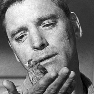 Foto O Homem de Alcatraz