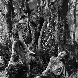 Foto O Segredo Do Pântano