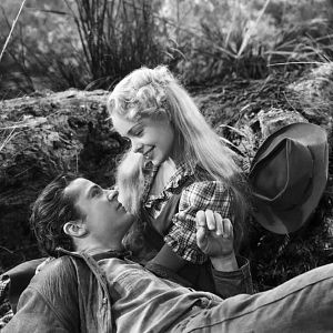 Foto O Segredo Do Pântano