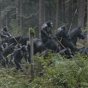 Foto Planeta dos Macacos: O Confronto