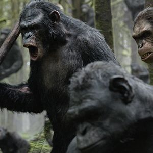 Foto Planeta dos Macacos: O Confronto