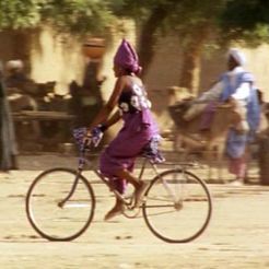 Foto A Vida Sobre a Terra