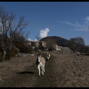 Foto Les Chèvres de ma mère