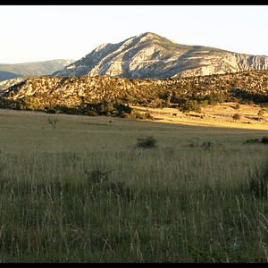 Foto Les Chèvres de ma mère