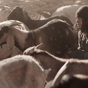 Foto Francisca Gavilán