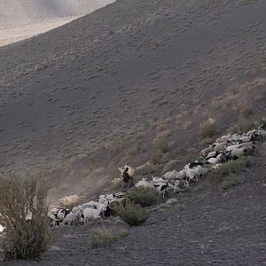 Foto As Irmãs Quispe