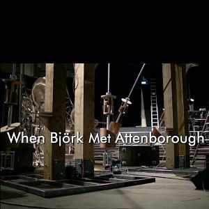 Foto Quando Björk conheceu David Attenborough