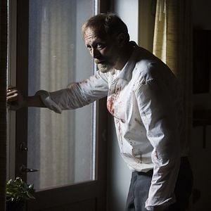 Foto Quando os Animais Sonham