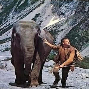 Foto Os Destemidos Não Caem