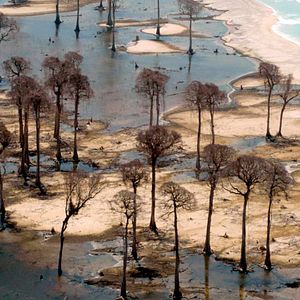 Foto Tsunami: As Consequências