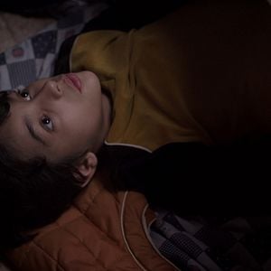 Foto Peixes Insólitos