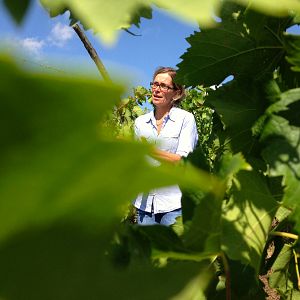 Foto Resistência Natural