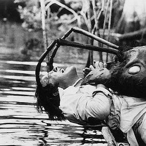 Foto O Império das Formigas