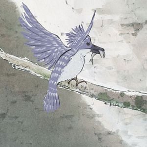 Foto O Conto da Princesa Kaguya