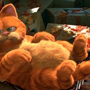 Foto Garfield