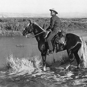 Foto Sua Última Façanha