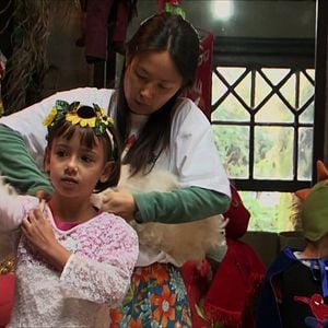 Foto Sementes do Nosso Quintal