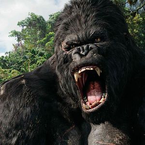 Foto King Kong