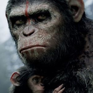 Foto Planeta dos Macacos: O Confronto