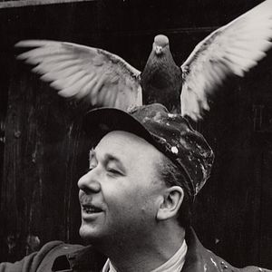 Foto Trens Estreitamente Vigiados