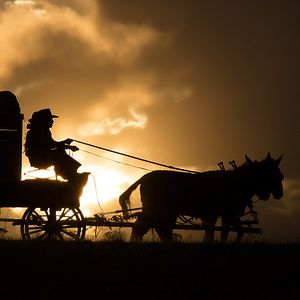 Foto Dívida de Honra