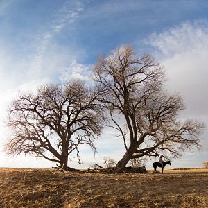 Foto Dívida de Honra