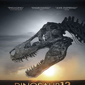 Foto Dinosaur 13