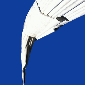 Foto Em Busca de um Lugar Comum