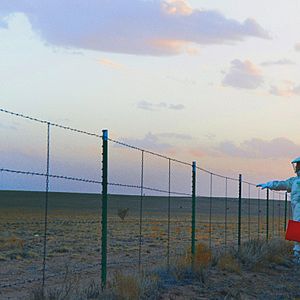 Foto O Sinal - Frequência do Medo