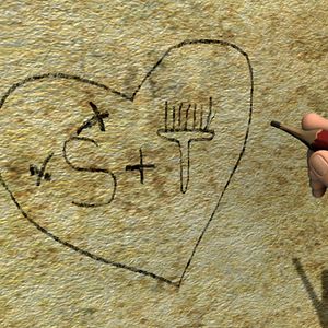 Foto Otto - O Rinoceronte