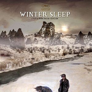 Foto Winter Sleep