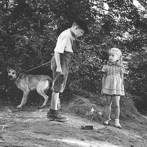 Foto Brinquedo Proibido