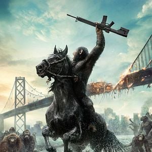 Foto Planeta dos Macacos: O Confronto