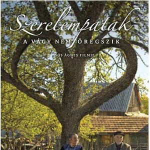 Foto Torrente de Amor