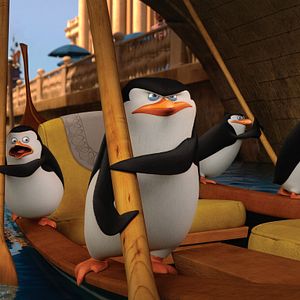 Foto Os Pinguins de Madagascar