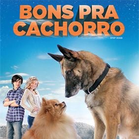 Foto Bons Pra Cachorro