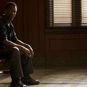 Foto Teia de Mentiras