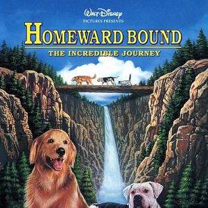 Foto A Incrível Jornada