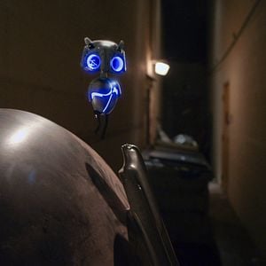 Foto Terra para Echo