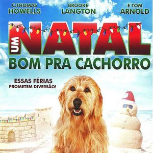 Foto Um Natal Bom pra Cachorro
