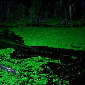 Foto Profissão de Risco