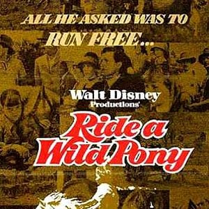 Foto Nosso Pônei Selvagem