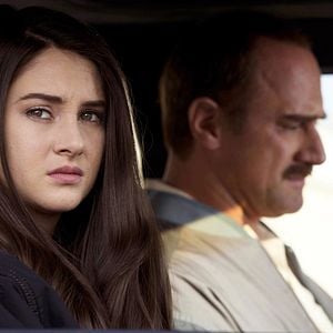 Foto Pássaro Branco na Nevasca