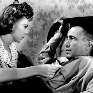 Foto Seu Último Refúgio