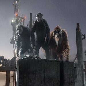 Foto Planeta dos Macacos: O Confronto