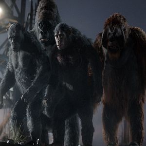 Foto Planeta dos Macacos: O Confronto