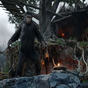 Foto Planeta dos Macacos: O Confronto