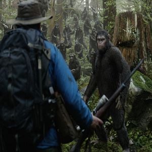 Foto Planeta dos Macacos: O Confronto